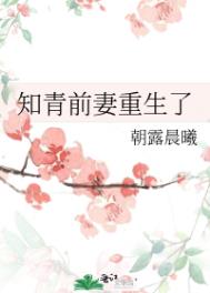 知青前妻重生了小说封面